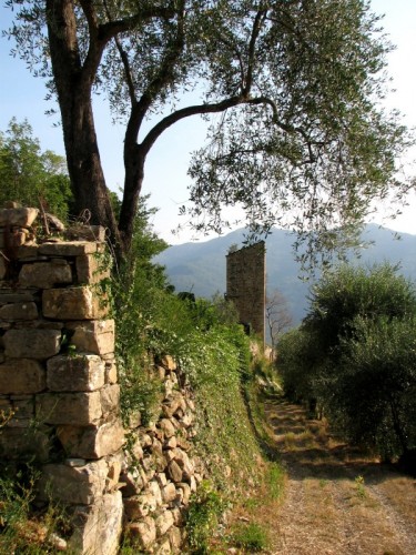 Pontedassio - Castello di Bestagno 2 Pontedassio - Castello di Bestagno 2