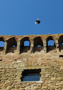 A volo d’uccello sul Castello