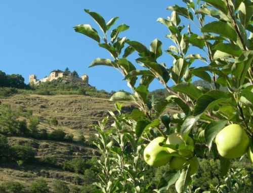 Castelbello-Ciardes - Prodotti tipici dal Trentino-Alto Adige... Castelbello-Ciardes - Prodotti tipici dal Trentino-Alto Adige...