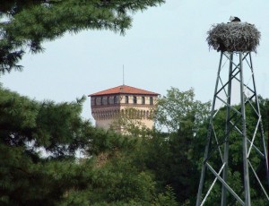 non solo torri,al castello di Rovasenda