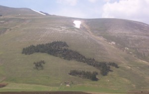 Italia….nel parco dei monti sibillini