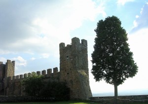 Castello Montecchio Vesponi