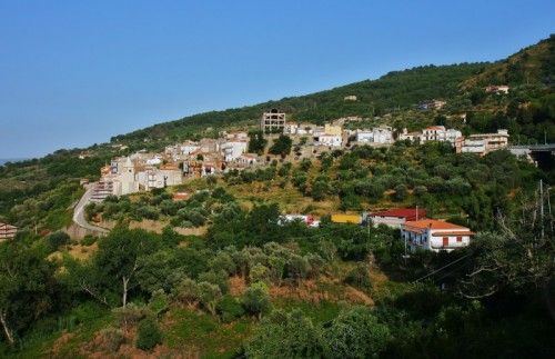 Capri Leone - la dolce vita Capri Leone - la dolce vita