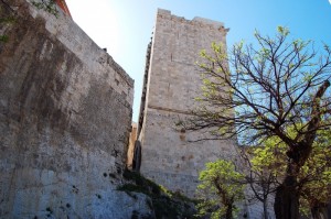 Torre dell’Elefante