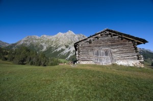 Malga e Cima Doscopa