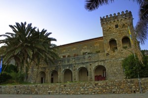 Castello Vinciprova - Pioppi