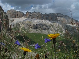 Il Pordoi, più che mitico, Dolomitico !