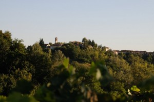 Vinchio
