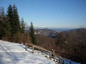 Panorama dal monte Fenera