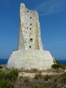 Torre del Serpe