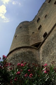 torre e fiori