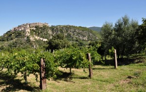 Calvi dell’Umbria - TR (Panorama)