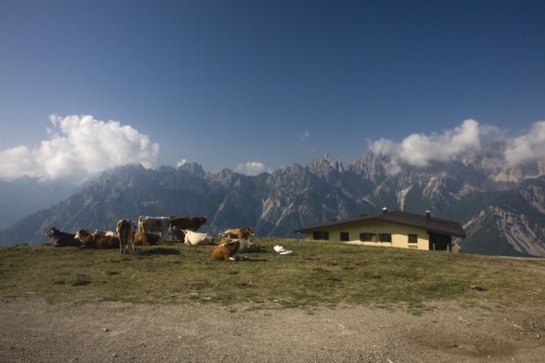 Forni di Sopra - Paesaggio di montagna Forni di Sopra - Paesaggio di montagna