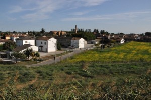 Berra dall’ argine del Po