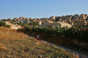 Paese assolato fichidindia cavalcature…..la sicilia che va sparendo