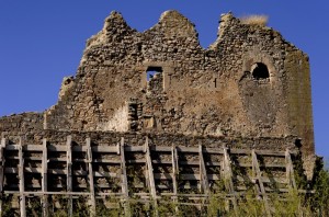 gli ultimi “merli”