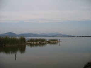 Torre del Lago Puccini - La calma del lago