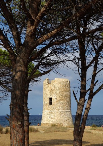 Siniscola - La Torre san Giovanni tra i pini