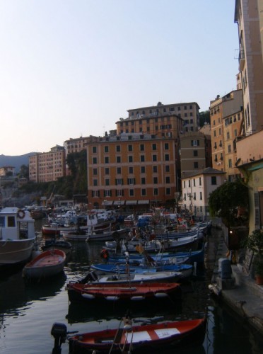 Camogli - porticciolo