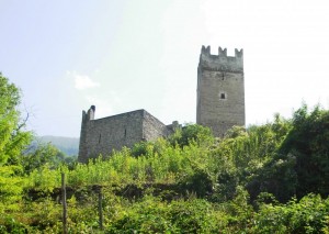 la torre di Pedenale