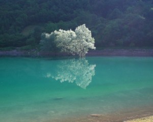 Lago di Tenno