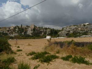 Accidenti al cavo !!! ( 2)