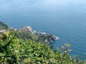 Manarola dal sentiero