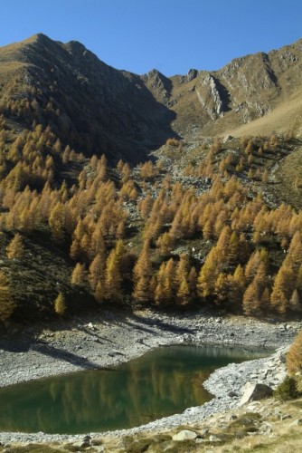 Postalesio - Autunno a Colina