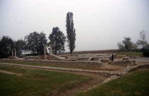 rovine di Augusta Bagiennorum (1)