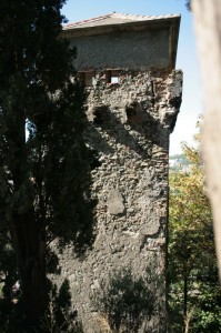 Torre dei saraceni