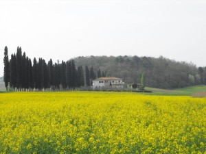 La campagna intorno a Volterra