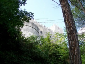 Sorpresa dietro alla vegetazione