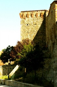 Torre di Castiglione della valle