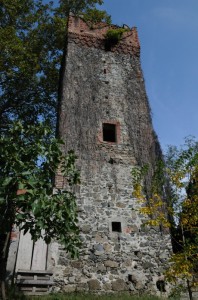 Saleranro canavese e la sua torre