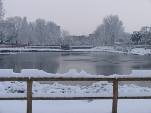 Buccinasco - Buccinasco sotto la neve Buccinasco - Buccinasco sotto la neve