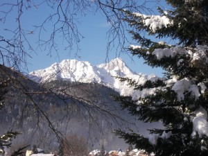 Panorama delle alpi