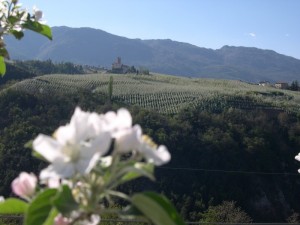 Il castello tra i fiori 3