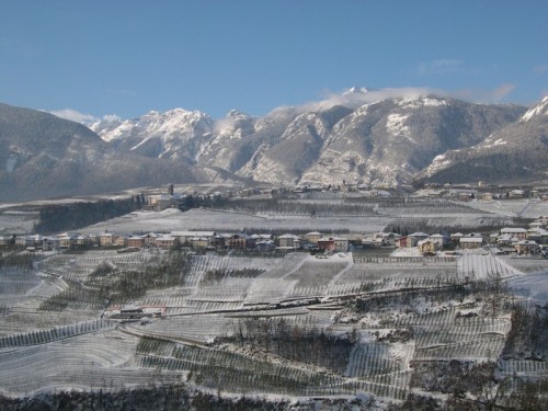 Tassullo - Tassullo dopo una nevicata Tassullo - Tassullo dopo una nevicata