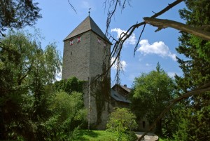 il castello nel boschetto di Molini