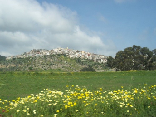 Carfizzi - d'oro e d'azzurro Carfizzi - d'oro e d'azzurro