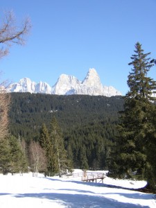 Pale di San Martino e foresta di Paneveggio