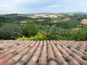 Immersione nel verde