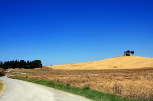 Le Campagne di Bibbona ed il Vecchio Mulino