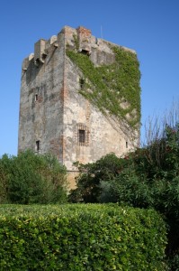 la torre di Palidoro