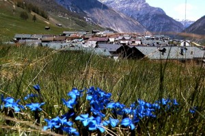 …sdraiato sul prato al di là delle genziane vedo i tetti di San Rocco di Livigno
