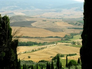 Pienza: dintorni splendidi