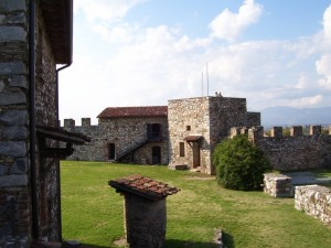 Mura del castello visconteo