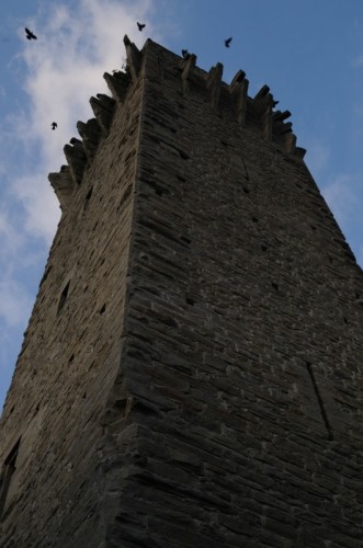 Olmo Gentile - La torre 