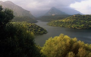 La valle del Cedrino