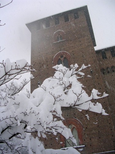 Pavia - neve 